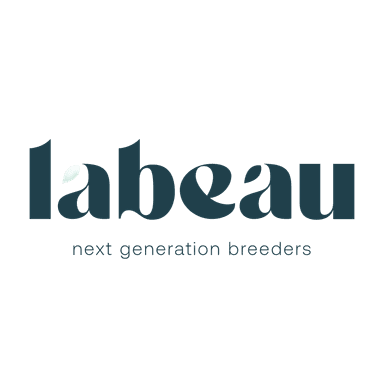Labeau