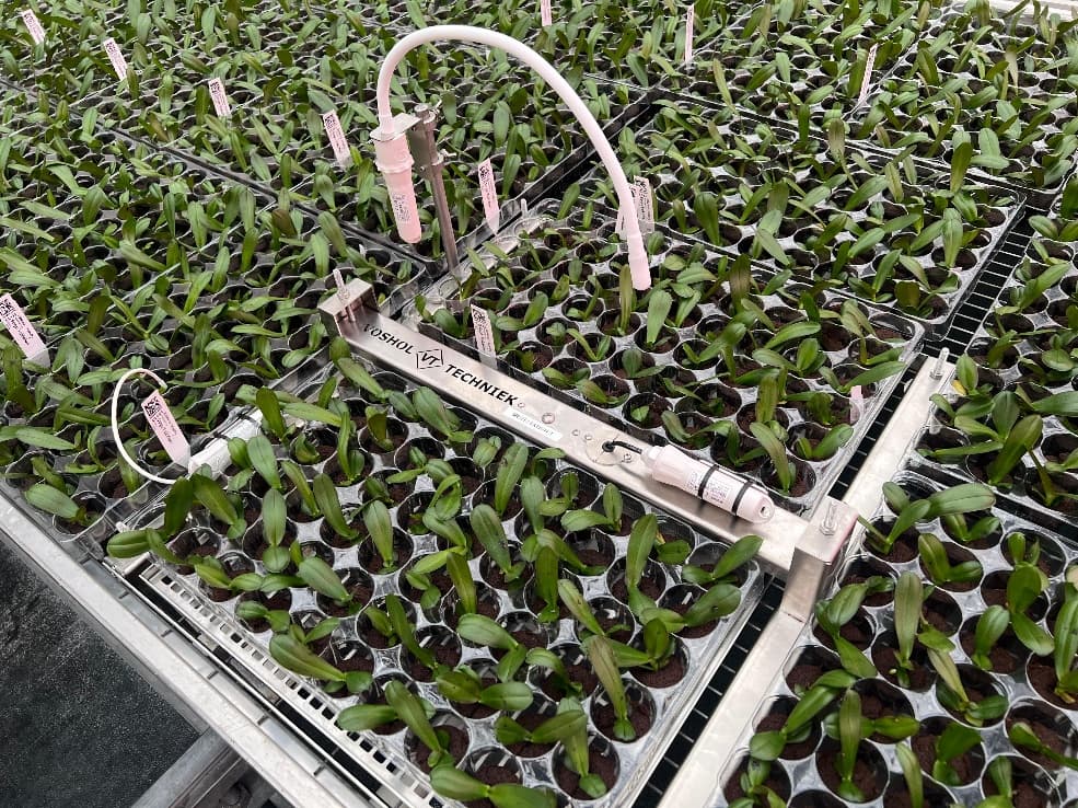 Weegsystemen voor plantverdamping